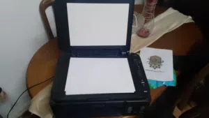 طابعه خبر غذائي