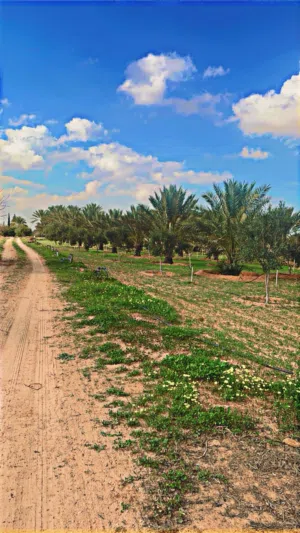 مزرعه للبيع
