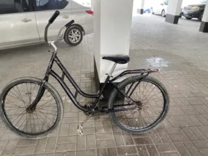 سيكل فراشه