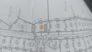 ارض كوشان طابو مستقل