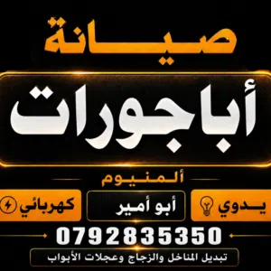 أبو أمير 