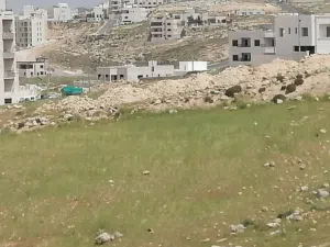 Residential Land for Sale in Amman Shafa Badran