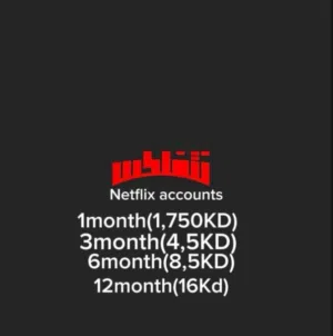 Netflix Accounts and Characters for Sale in Kuwait City