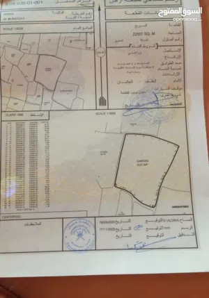 فرصة ارض زراعية ببركا بموقع مميز جدا جدا لا تعوض