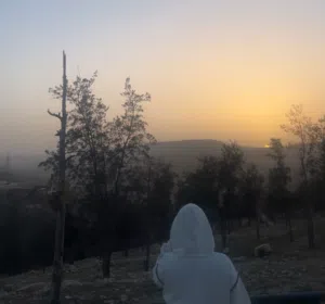 عبود الدعيجي