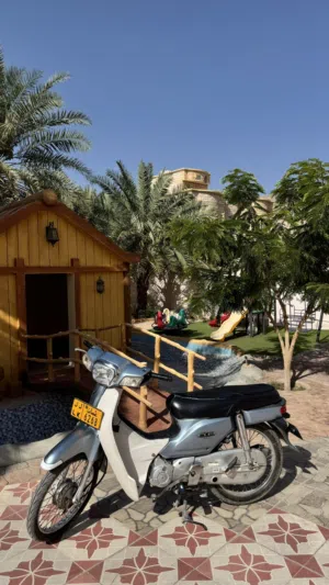 هوندا 110cc سوبر كب 2020 اليابان