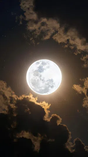moon 