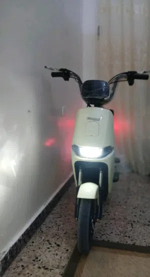موطو كهربائي شحن لا يوجد عيوب يحمل وزن 220 كيلو و يقطع مسافة 40 كيلو وكل شي في الموطو شغال