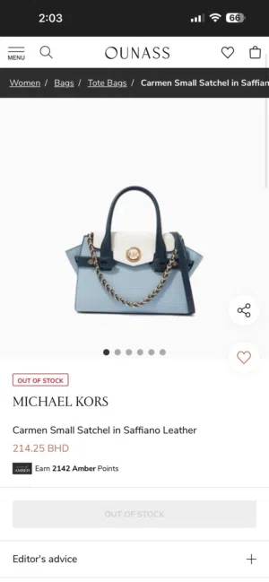 Michael Kors Handbag