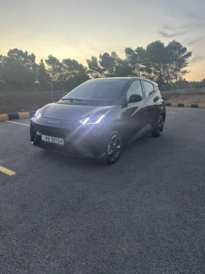 سيجول 2024
