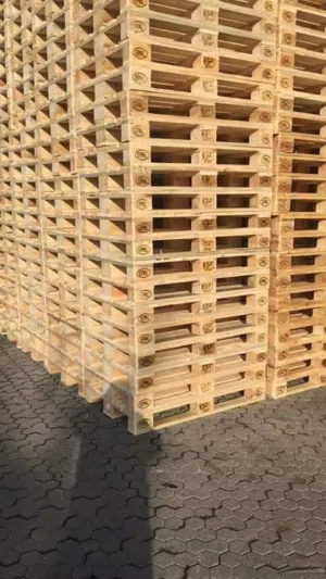 نشتري جميع انواع الطبالي الخشبيه وبلاستيكيه والمكسور وجديد بحبه او بطن وجميع انواع السكراب