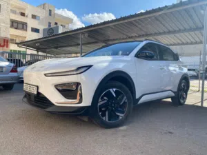 Used Neta Other in Irbid