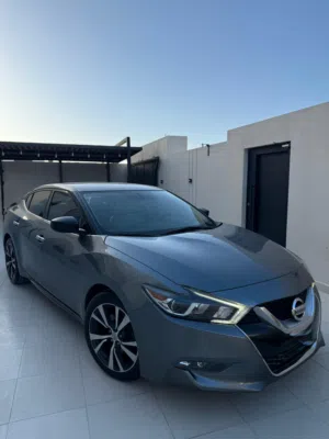 Used Nissan Maxima in Al Batinah