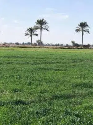 قطعة ارض بالنجيبية الفنجانية مساحة 200 متر طابو صرف