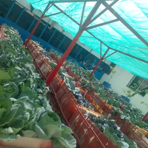 ‏معدات حدائق‏3