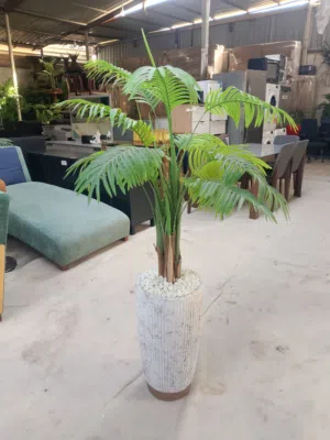 plants for sale