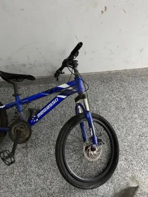 Bicycle for parts
