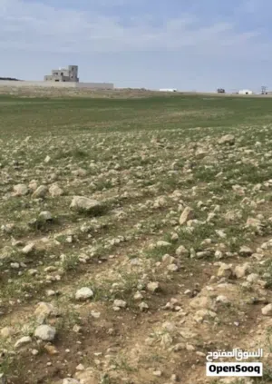 Mixed Use Land for Sale in Ramtha Romtha