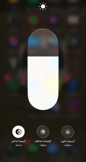iPhone 13 عادي