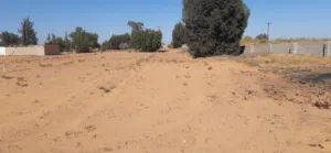 حوازه هكتار ونص