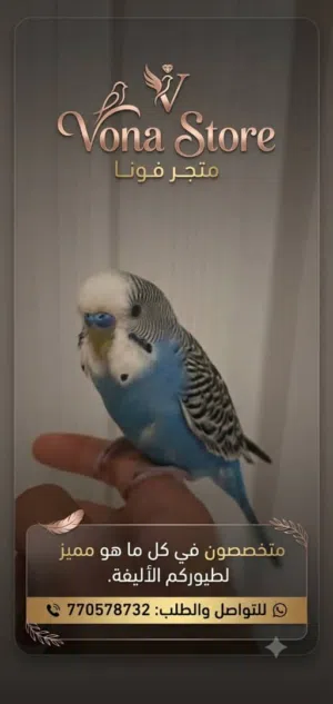 طير بادجي اليف