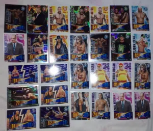 بطاقات WWE الإحترافية 2014