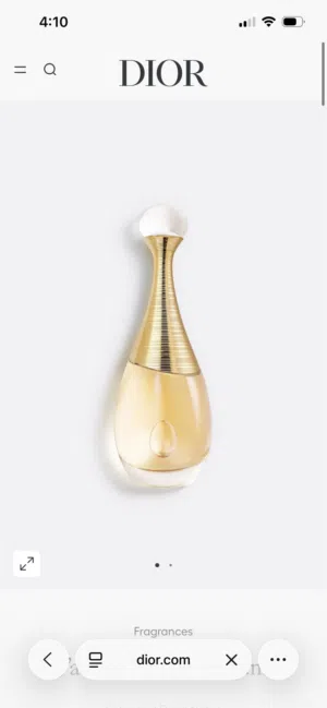 DIOR J'adore EAU DE Parfum Perfume 100ml