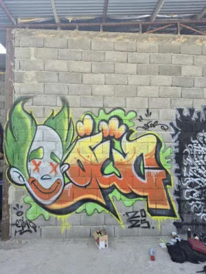 painting  Graffiti  Calligraphy , Decorative painting , Muralart