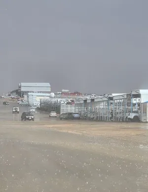 Junk Cars - Other Vehicles3