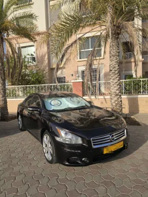 Used Nissan Maxima in Muscat