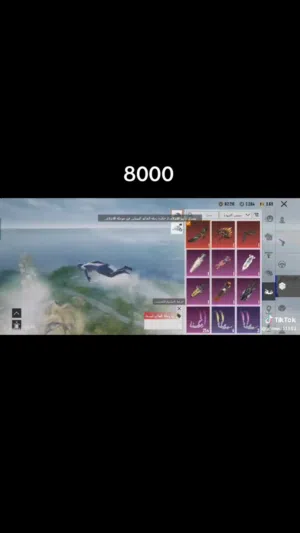 Pubg Accounts and Characters for Sale in Qena