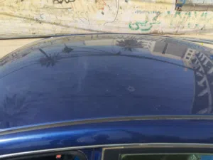 ضرر جاملغ و بنيد رقم