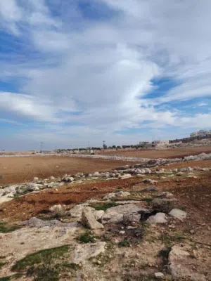 Farm Land for Sale in Jerash Marsa'