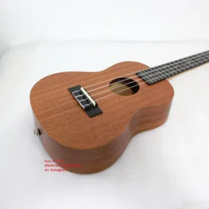 Brand New Ukulele - Great for Beginners!