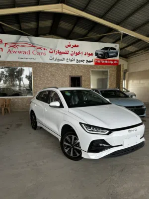 بي واي دي E2 عداد زيرو 2024 نقدأ وبالتقسيط