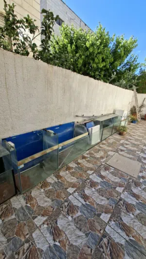 احواض أسماك للعرض