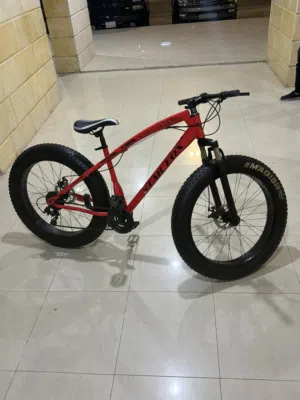 دراجه شبه جديده حالتها ممتازه ما تحتاج شي