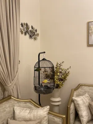 زوج ببغاء روز أليف مع قفص زينة فاخر مع ستاند