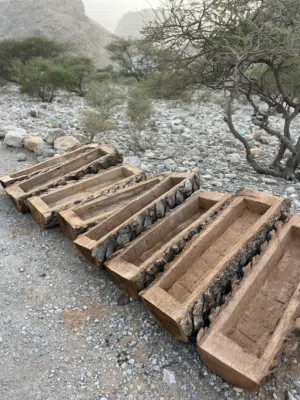 أحواض الأغنام أو لزراعه