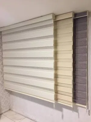 برادي زيبرا وأبجورات