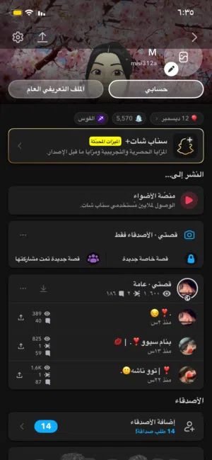 Accounts - Others Accounts and Characters for Sale in Al Batinah