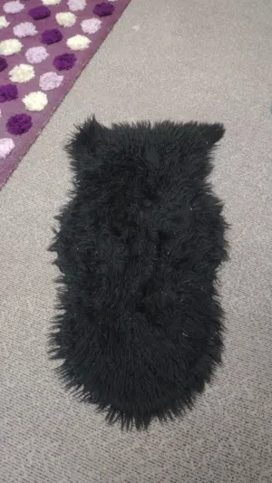 سجاد البيضا كبيره شاغي 3 ب 4 نضيفه سجاد ممر 2ب 3 نضيفه ومعهم فروه اسود متر