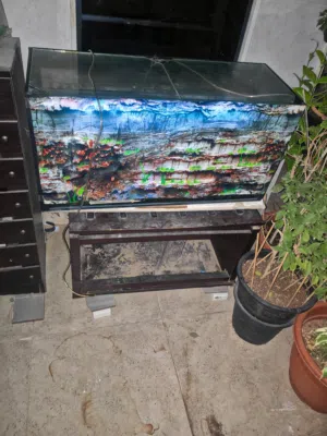 30*80 fish aquarium 100 aed