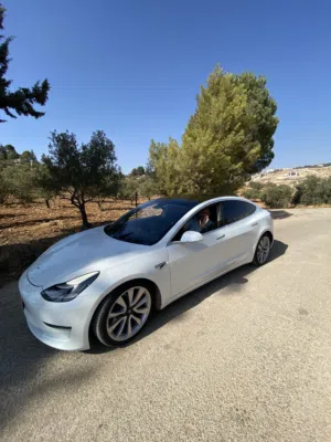 Tesla model 3 performance