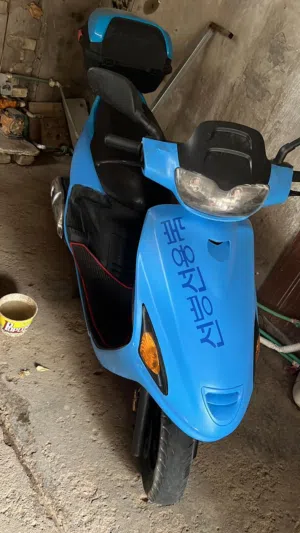 فراشه فحل نضيفه صار شهر من ماخذها