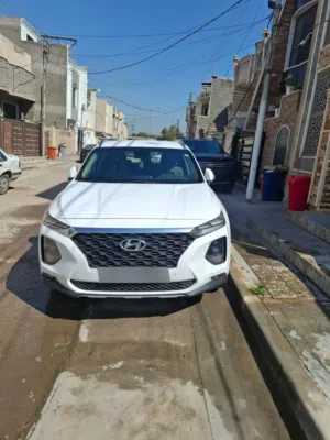 للبيع سنتافي خليجي 2019 (شكل العشرين) 7 راكب