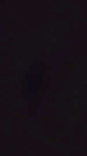 حسن بحراوي 