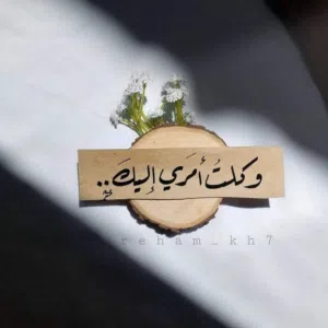 زيدالديك 