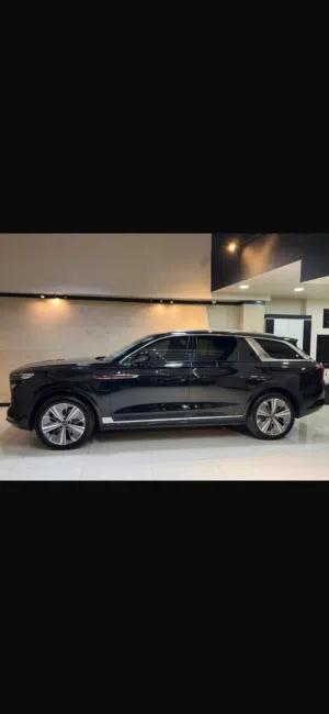 Used Hongqi E-HS9 in Amman