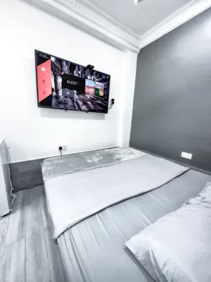 Elegant Fully Furnished Apartment
